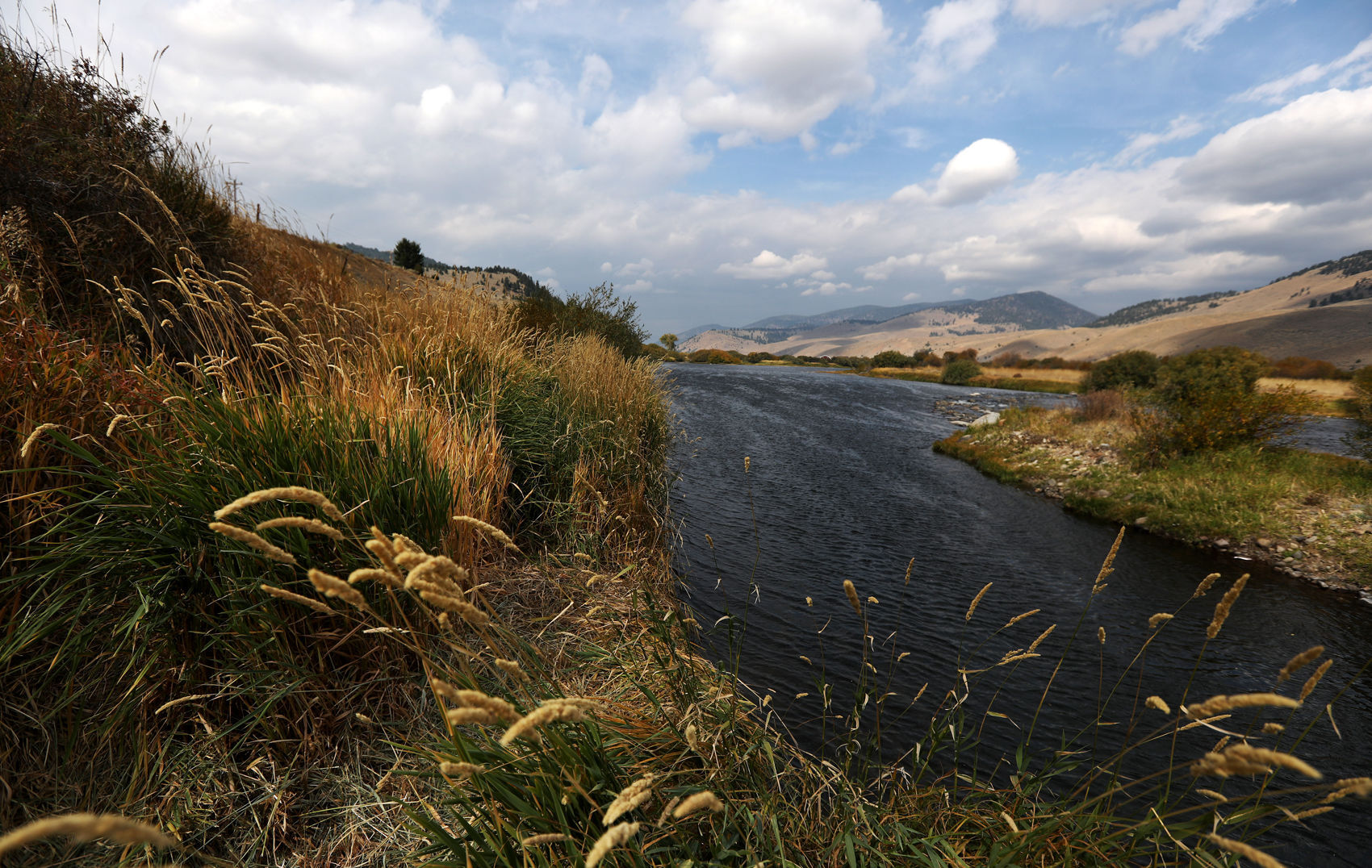 New public fishing access along the Big Hole River near Wise River
